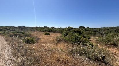 Terrain agricole à Barão de São Miguel de 35 200 m²