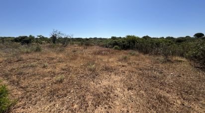 Terrain agricole à Barão de São Miguel de 35 200 m²