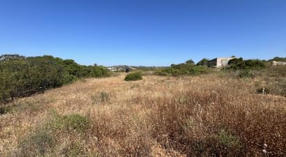 Terrain agricole à Barão de São Miguel de 35 200 m²