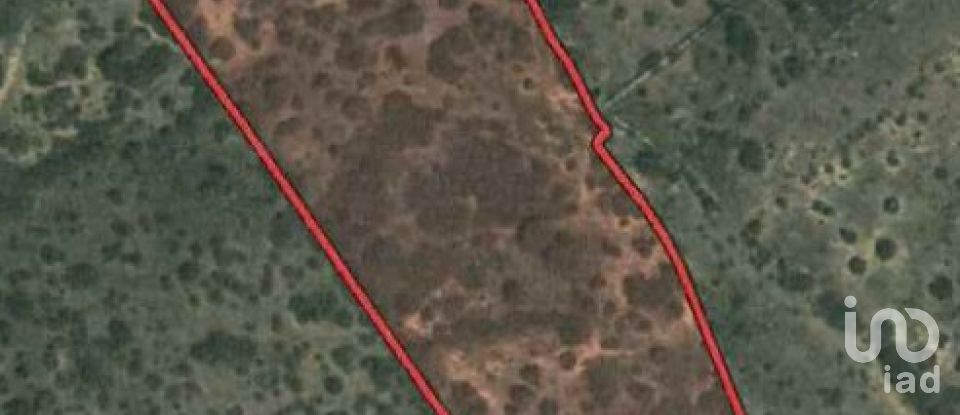 Terreno rústico em Barão de São Miguel de 35 200 m²