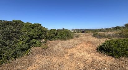 Terrain agricole à Barão de São Miguel de 35 200 m²