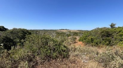 Terrain agricole à Barão de São Miguel de 35 200 m²