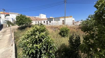 Terrain à bâtir à Barão de São Miguel de 168 m²