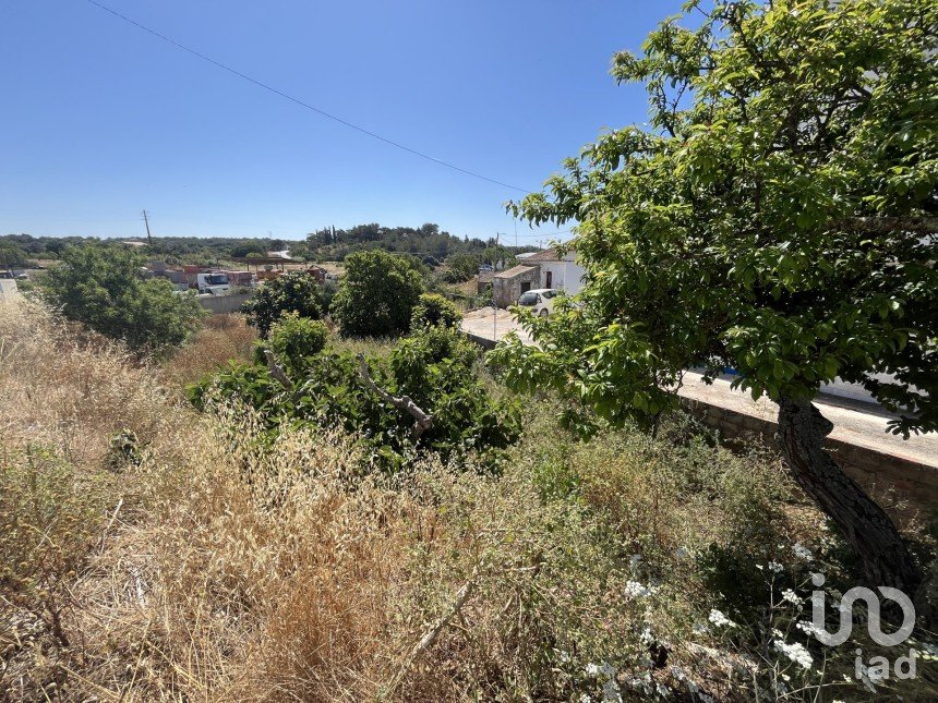 Terrain à bâtir à Barão de São Miguel de 168 m²