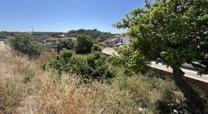 Terrain à bâtir à Barão de São Miguel de 168 m²