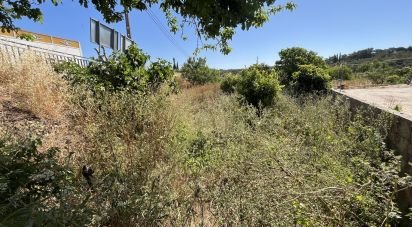 Terrain à bâtir à Barão de São Miguel de 168 m²