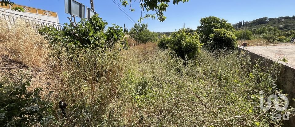 Terrain à bâtir à Barão de São Miguel de 168 m²