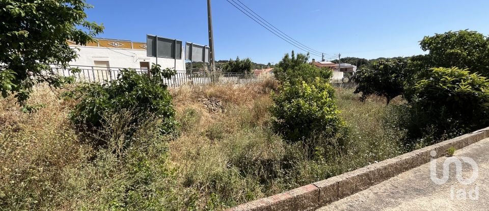 Terrain à bâtir à Barão de São Miguel de 168 m²