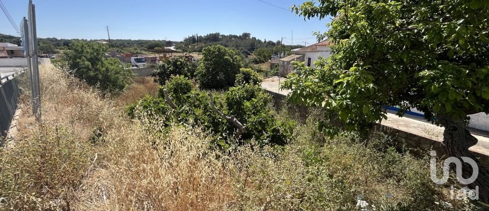 Terrain à bâtir à Barão de São Miguel de 168 m²