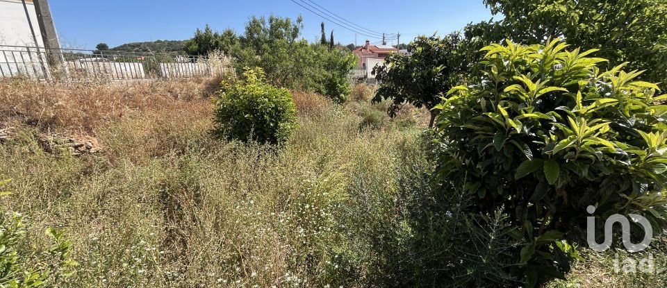 Terrain à bâtir à Barão de São Miguel de 168 m²