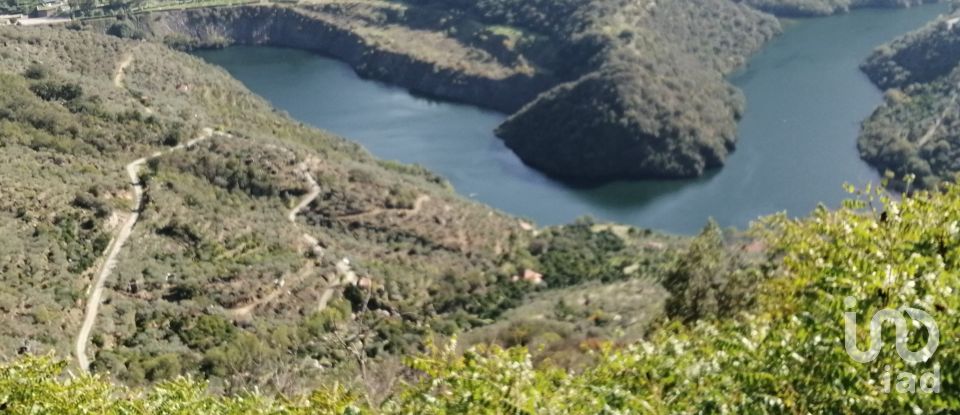 Casa de Campo T0 em Lagoaça e Fornos de 126 m²