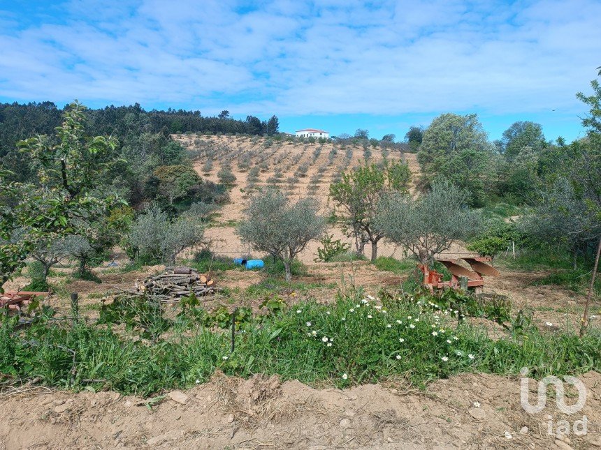 Land in Mogadouro, Valverde, Vale de Porco e Vilar de Rei of 21,625 m²