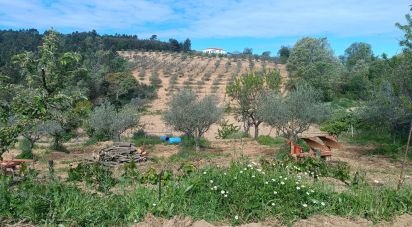 Terrain à Mogadouro, Valverde, Vale de Porco e Vilar de Rei de 21 625 m²