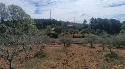 Terrain à Mogadouro, Valverde, Vale de Porco e Vilar de Rei de 21 625 m²