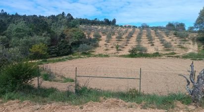 Terrain à Mogadouro, Valverde, Vale de Porco e Vilar de Rei de 21 625 m²