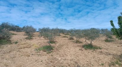 Terrain à Mogadouro, Valverde, Vale de Porco e Vilar de Rei de 21 625 m²