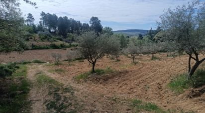 Terrain à Mogadouro, Valverde, Vale de Porco e Vilar de Rei de 21 625 m²