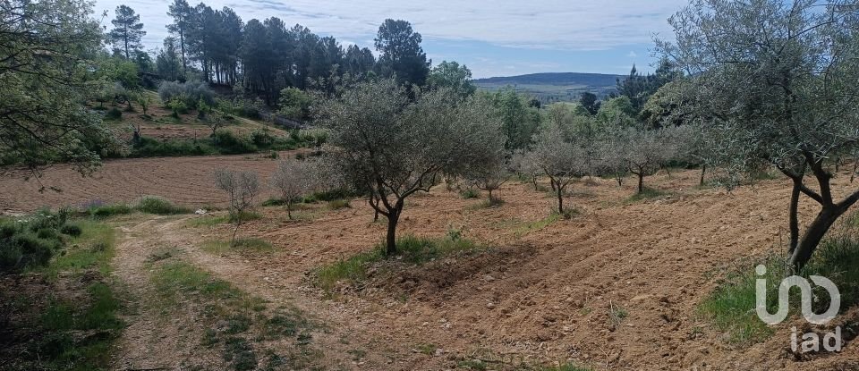 Land in Mogadouro, Valverde, Vale de Porco e Vilar de Rei of 21,625 m²