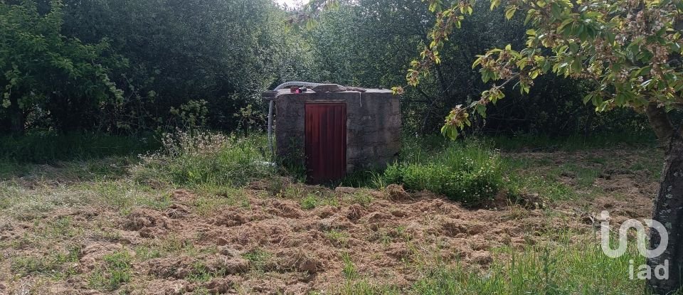 Land in Mogadouro, Valverde, Vale de Porco e Vilar de Rei of 21,625 m²