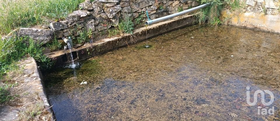 Land in Mogadouro, Valverde, Vale de Porco e Vilar de Rei of 21,625 m²