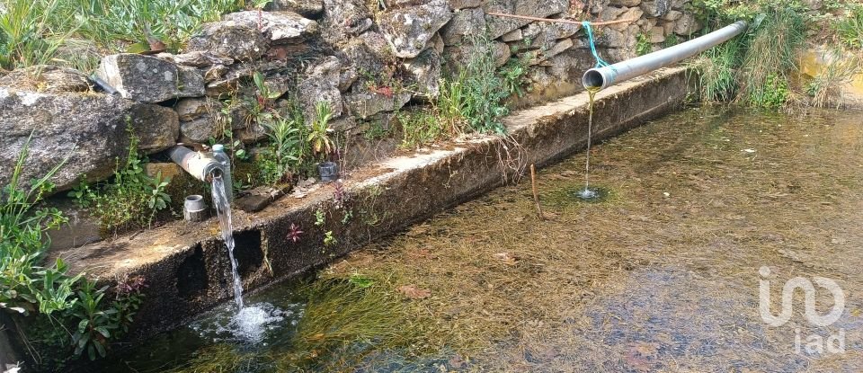 Land in Mogadouro, Valverde, Vale de Porco e Vilar de Rei of 21,625 m²