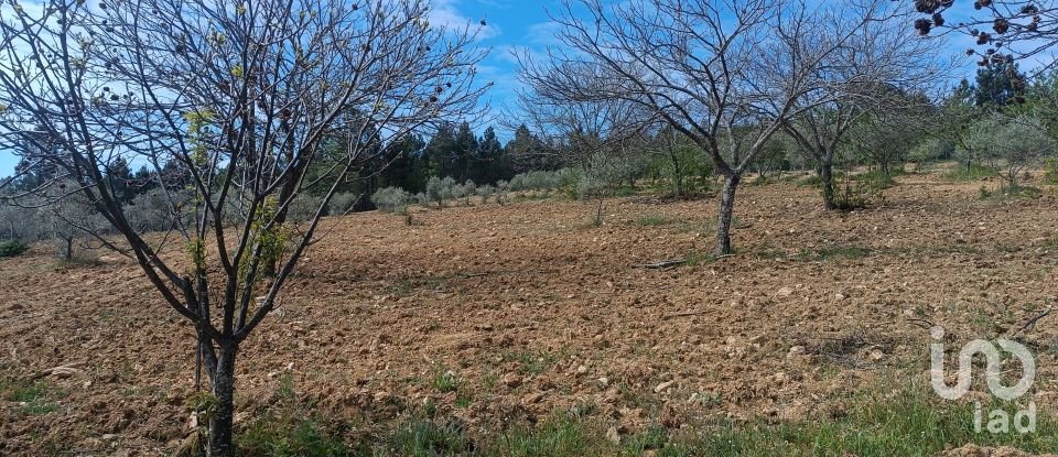 Land in Mogadouro, Valverde, Vale de Porco e Vilar de Rei of 21,625 m²