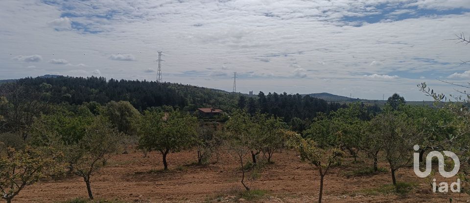 Land in Mogadouro, Valverde, Vale de Porco e Vilar de Rei of 21,625 m²