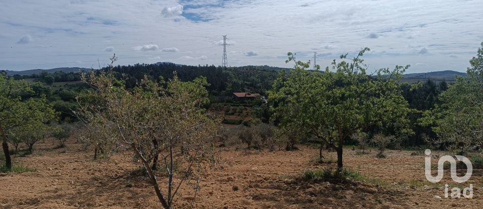 Land in Mogadouro, Valverde, Vale de Porco e Vilar de Rei of 21,625 m²