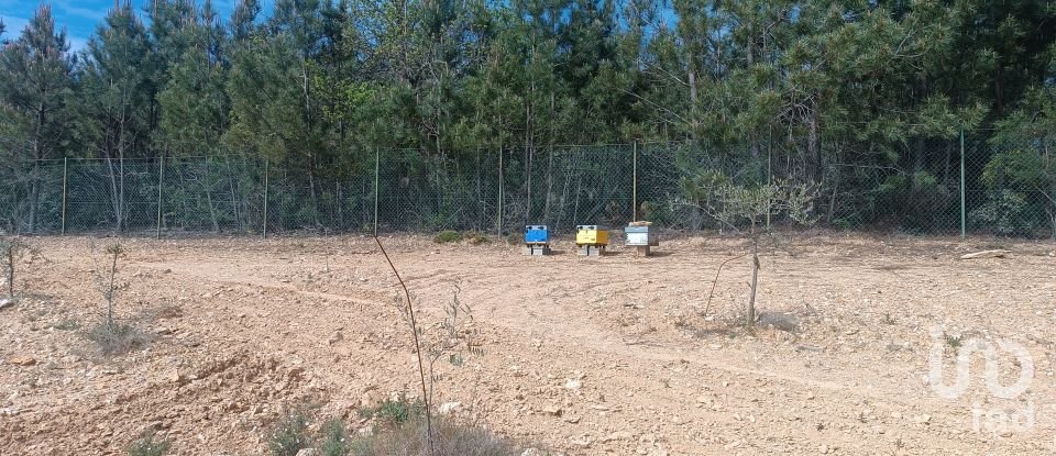 Land in Mogadouro, Valverde, Vale de Porco e Vilar de Rei of 21,625 m²