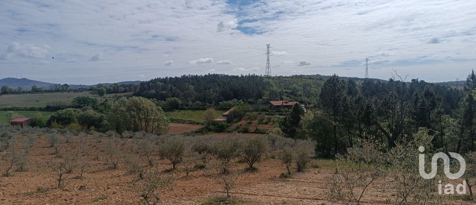 Land in Mogadouro, Valverde, Vale de Porco e Vilar de Rei of 21,625 m²