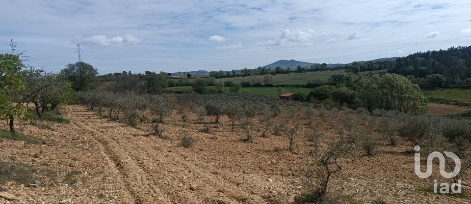 Land in Mogadouro, Valverde, Vale de Porco e Vilar de Rei of 21,625 m²