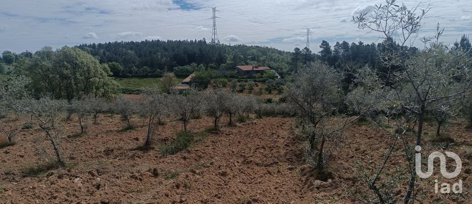 Land in Mogadouro, Valverde, Vale de Porco e Vilar de Rei of 21,625 m²