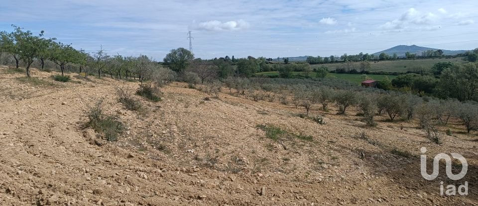 Land in Mogadouro, Valverde, Vale de Porco e Vilar de Rei of 21,625 m²