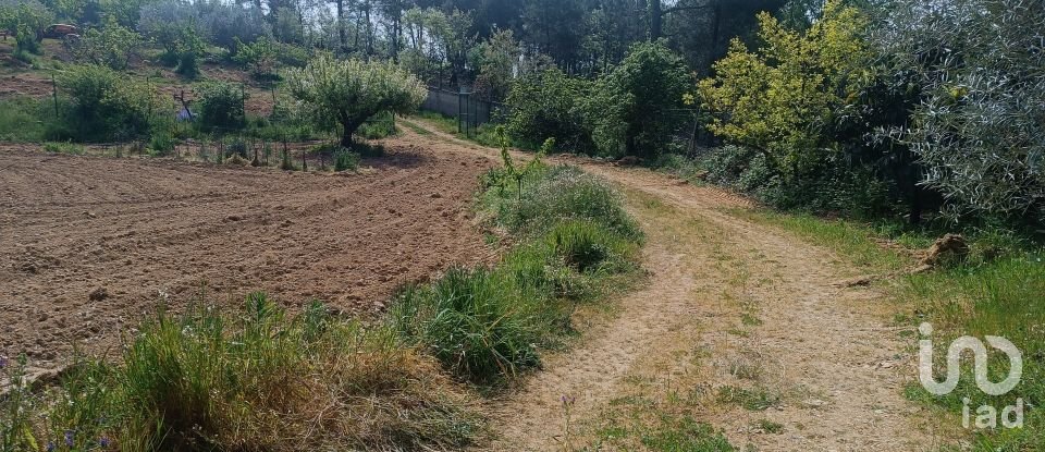 Land in Mogadouro, Valverde, Vale de Porco e Vilar de Rei of 21,625 m²