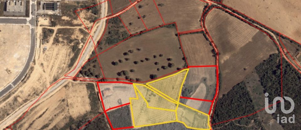 Land in Mogadouro, Valverde, Vale de Porco e Vilar de Rei of 21,625 m²