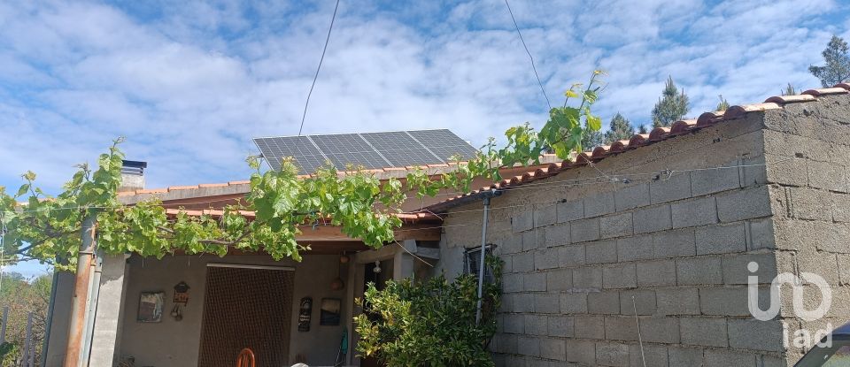 Land in Mogadouro, Valverde, Vale de Porco e Vilar de Rei of 21,625 m²