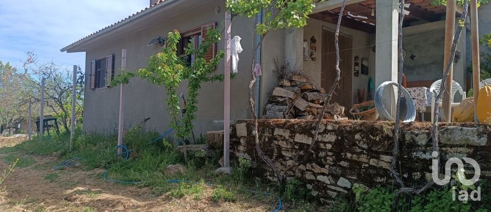 Land in Mogadouro, Valverde, Vale de Porco e Vilar de Rei of 21,625 m²