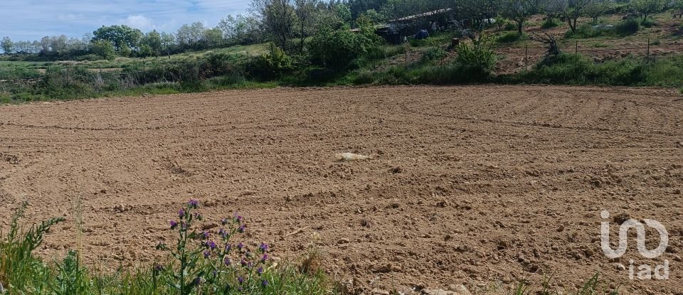 Land in Mogadouro, Valverde, Vale de Porco e Vilar de Rei of 21,625 m²