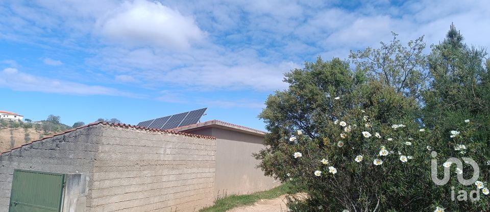 Land in Mogadouro, Valverde, Vale de Porco e Vilar de Rei of 21,625 m²