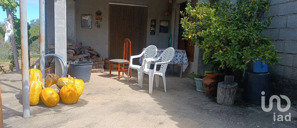 Land in Mogadouro, Valverde, Vale de Porco e Vilar de Rei of 21,625 m²