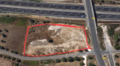 Terrain à Cartaxo e Vale da Pinta de 6 040 m²