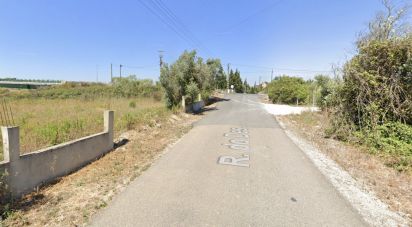 Terrain à Cartaxo e Vale da Pinta de 6 040 m²