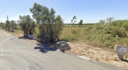 Terrain à Cartaxo e Vale da Pinta de 6 040 m²