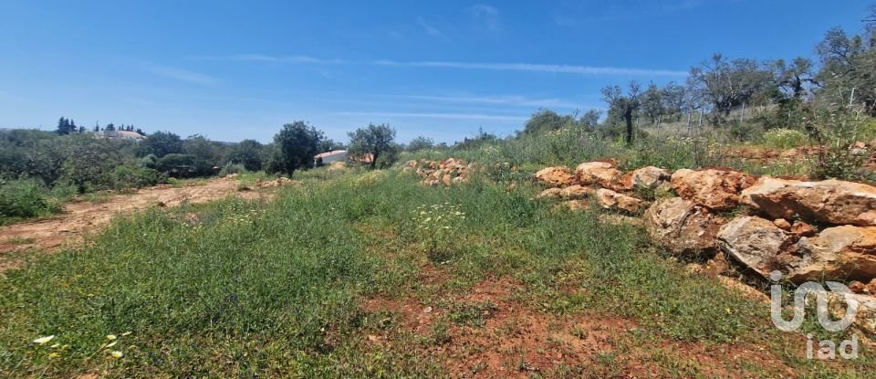 Land in Boliqueime of 8,000 m²