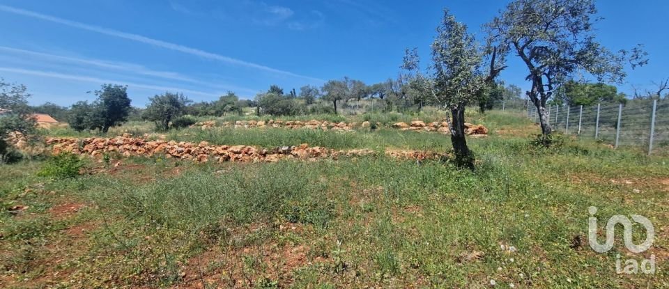 Land in Boliqueime of 8,000 m²