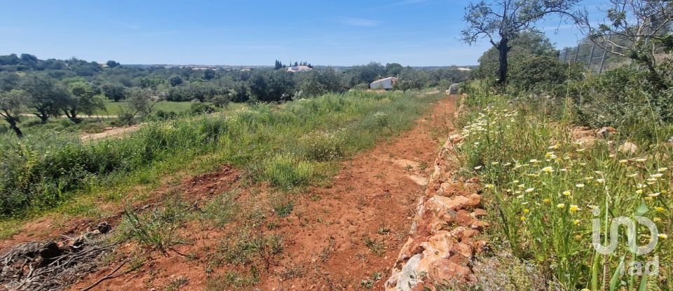 Land in Boliqueime of 8,000 m²
