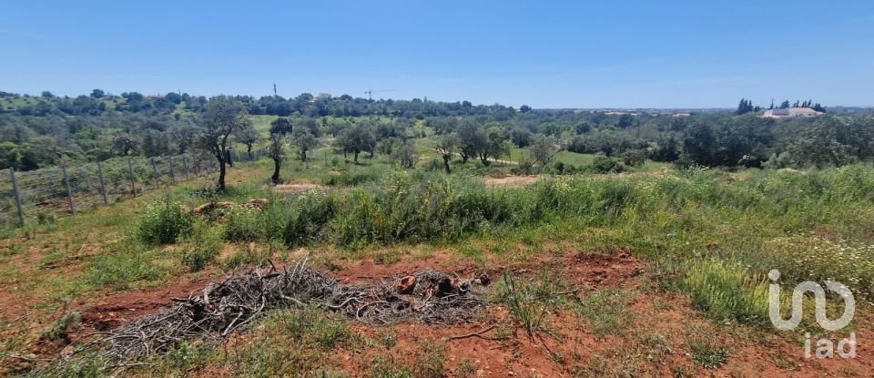 Land in Boliqueime of 8,000 m²