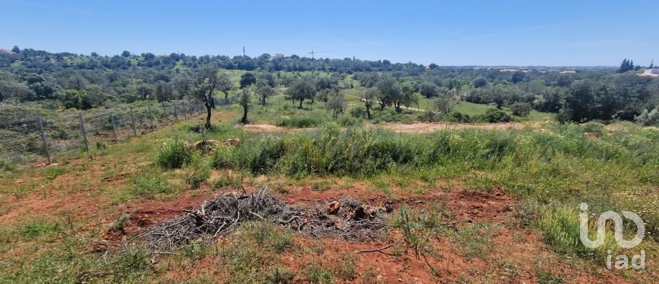 Land in Boliqueime of 8,000 m²