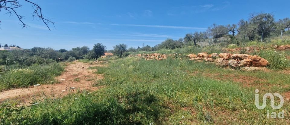 Land in Boliqueime of 8,000 m²