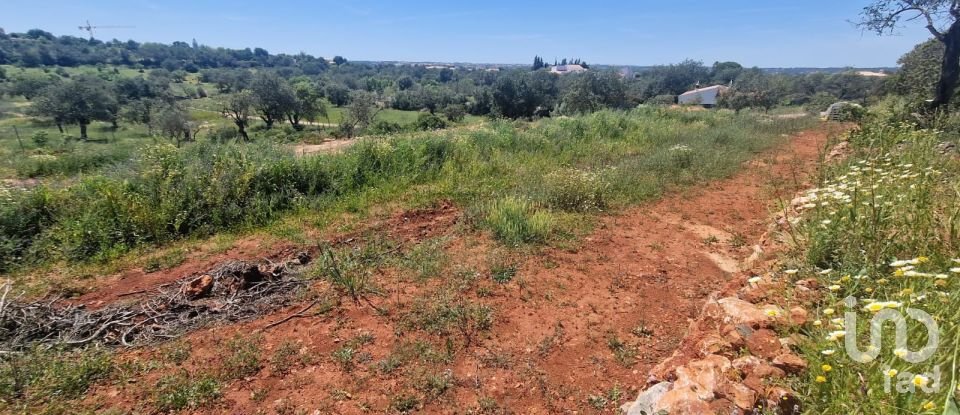 Land in Boliqueime of 8,000 m²